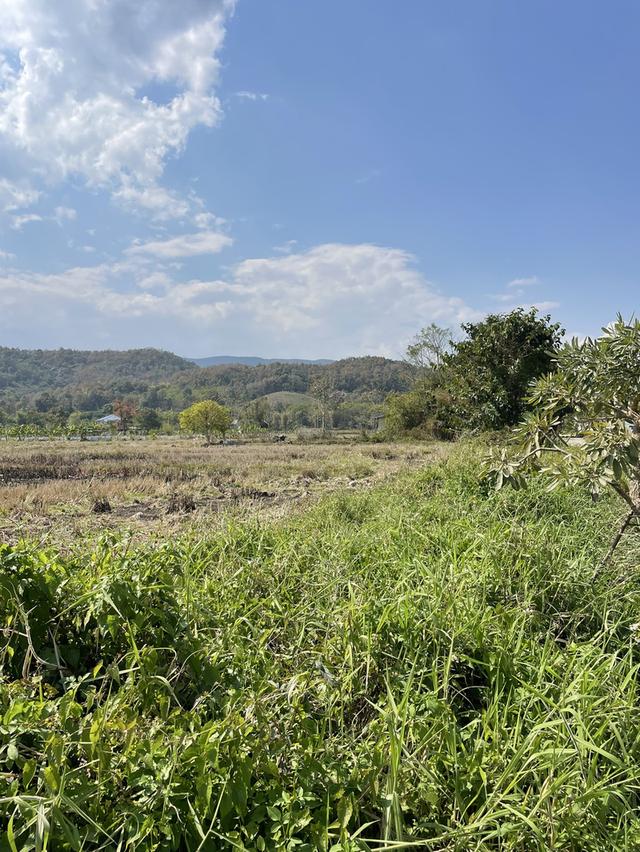 ที่ดินเชียงราย 5 ไร่ 12