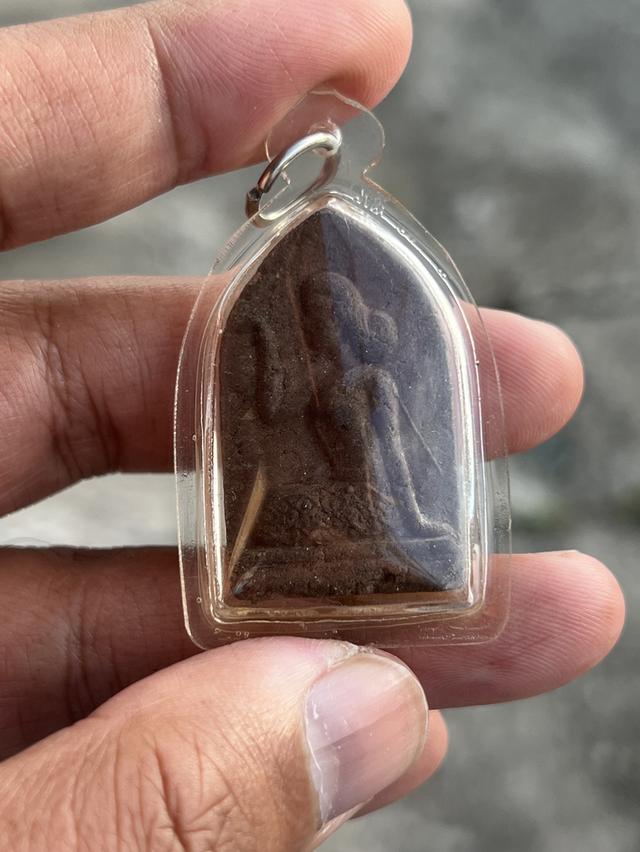 ว่านนางกวัก สข.1 พ่อท่านคล้าย ปี2510