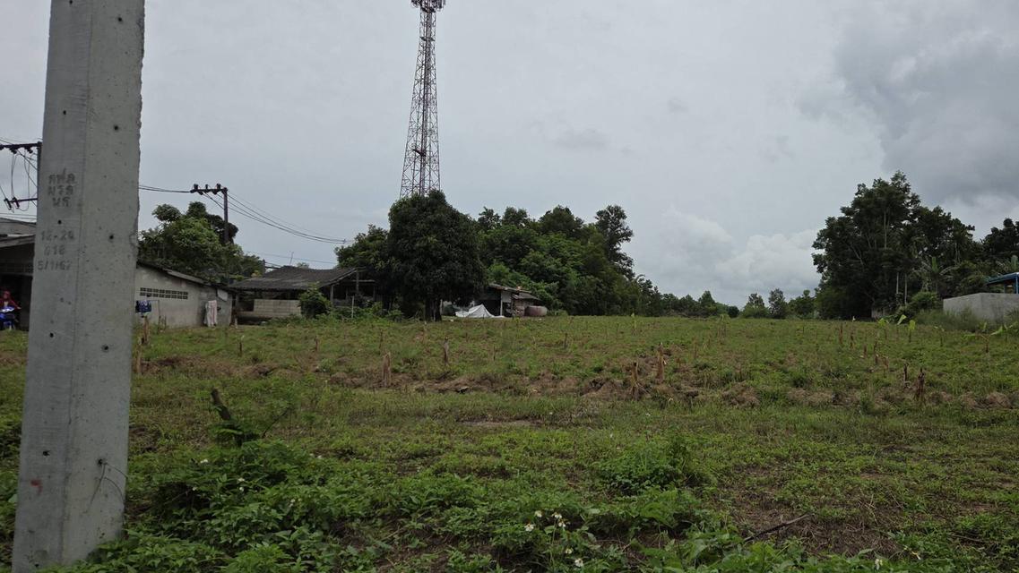 ที่ดิน ทำเลสวย กระบี่ 4