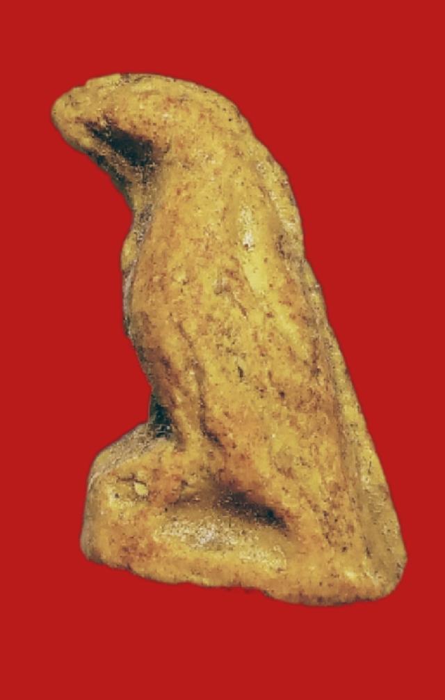 สาริกาเนื้อผงไม่ทราบที่ รูปย่อยที่ 2