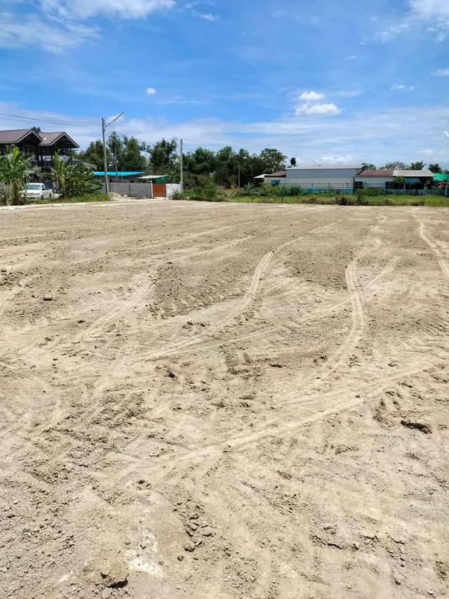 ขายที่ดินหนองหงษ์ 265 ตรว. ถมแล้วติดถนนคอนกรีต ใกล้ถนนเส้นชบ.3023-900เมตร อ.พานทอง ชลบุรี 1