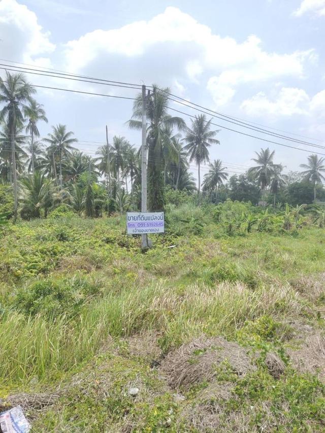 ขายที่ดินทำเลติดถนนใหญ่ หน้ากว้าง 112 เมตร ใกล้เซ็นทรัลสุราษฎร์ 6