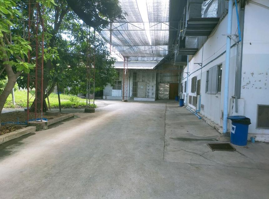 ขายที่ดิน+โรงงาน ขนาด 10 ไร่ 2