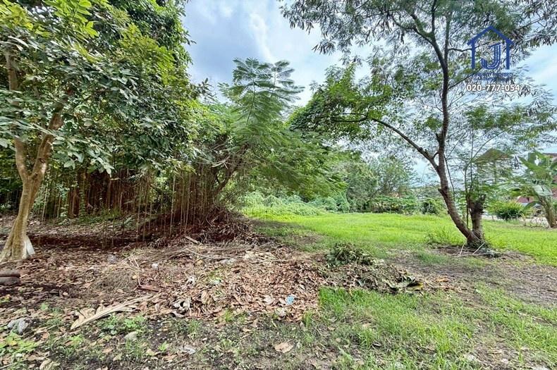 ที่ดิน 7 ไร่ 27 ตร.วา หมู่บ้านไพเนอรี่ พาร์คบีช รีสอร์ท สวนสนระยอง เลียบทะเล–หาดสวนสน จังหวัดระยอง 13