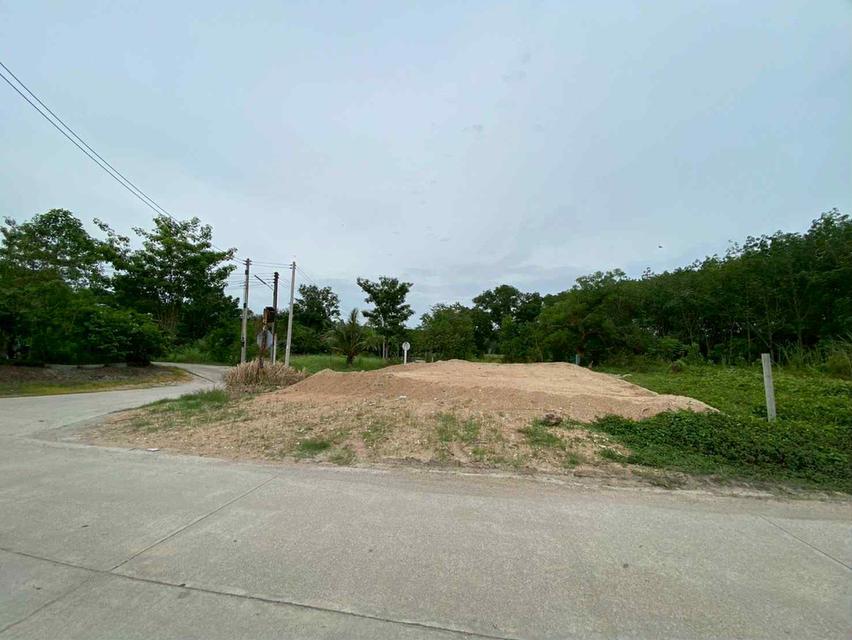 ขายที่ดินทับมา 81 ตรว. ติดถนนคอนกรีต2ด้านถมแล้ว ใกล้หาดแสงจันทร์9กม. อ.เมืองระยอง 3