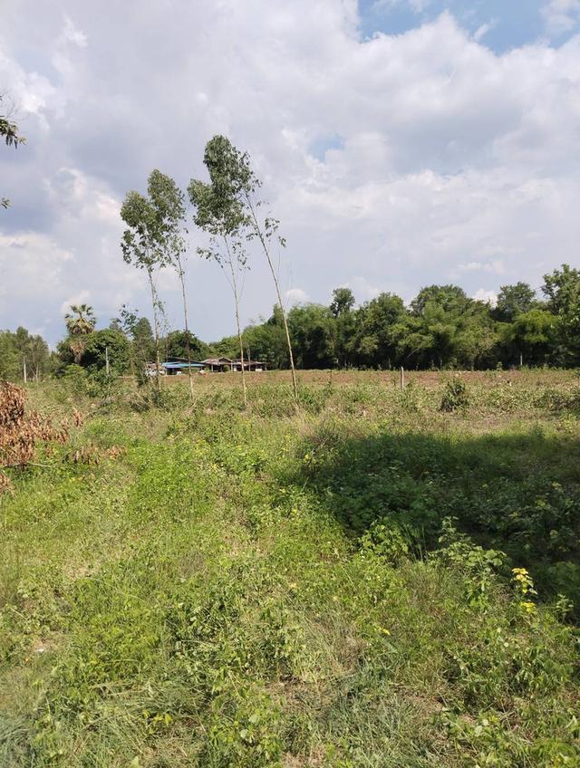 ขายที่ดินเมืองสระแก้ว 3 ไร่ หลังTOYOTAสระแก้ว ใกล้ถนนสุวรรณศร33-800เมตร จ.สระแก้ว 3