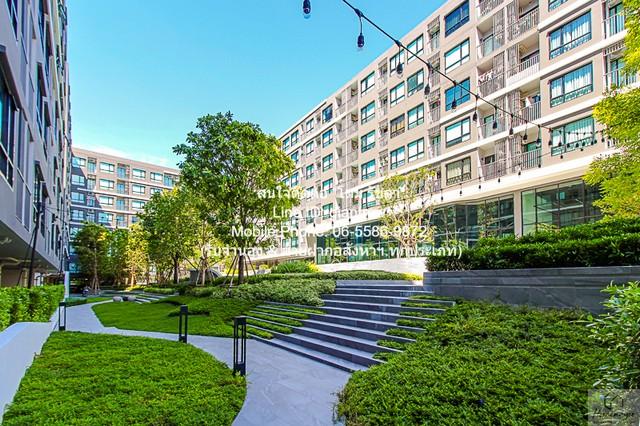 condo. ดิ ออริจิ้น สุขุมวิท 105 13000 บาท 1นอน1BATHROOM 29 ตรม สภาพดี 1