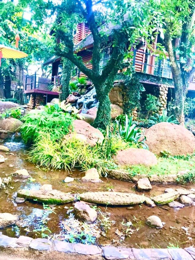 ขายที่ดินพร้อมสวนสวย กิจการห้องพัก รวม 5 ไร่ เชียงใหม่ ราคาถูกพิเศษ 9