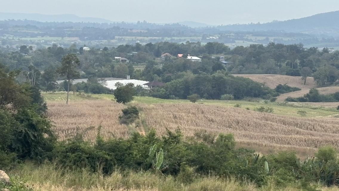 23 ไร่ ไร่ละ 1.7 แสน ขายยกแปลง บ.น้ำซับ อ. วังน้ำเขียว