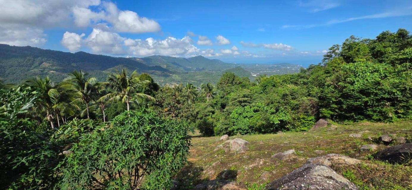 ที่ดินซีวิวบนเกาะสมุยอากาศดี 10