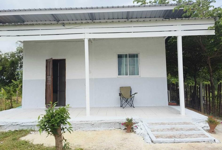 ขายบ้านสวนพร้อมที่ดินบ้านท่าถ่าน 1ไร่ 97ตรว. หลังศูนย์เด็กเล็กอบต.พนม ใกล้ถนนเส้น304เพียง500เมตร อ.พนมสารคาม ฉะเชิงเทรา 2