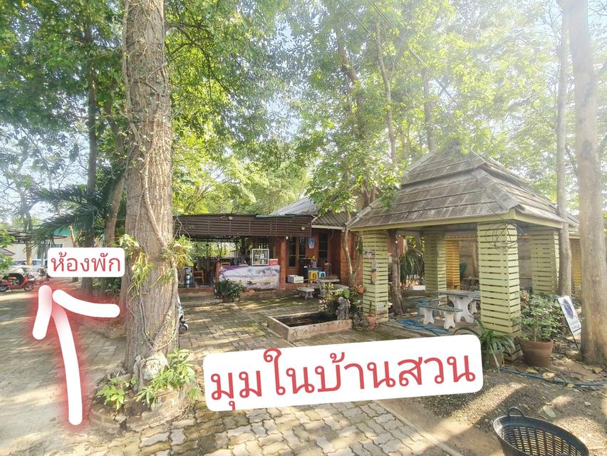ที่ดินพร้อมสิ่งปลูกสร้างพอพัก ค้านอาหารบ้านพัก อ.เมืองจ.พะเยา 5