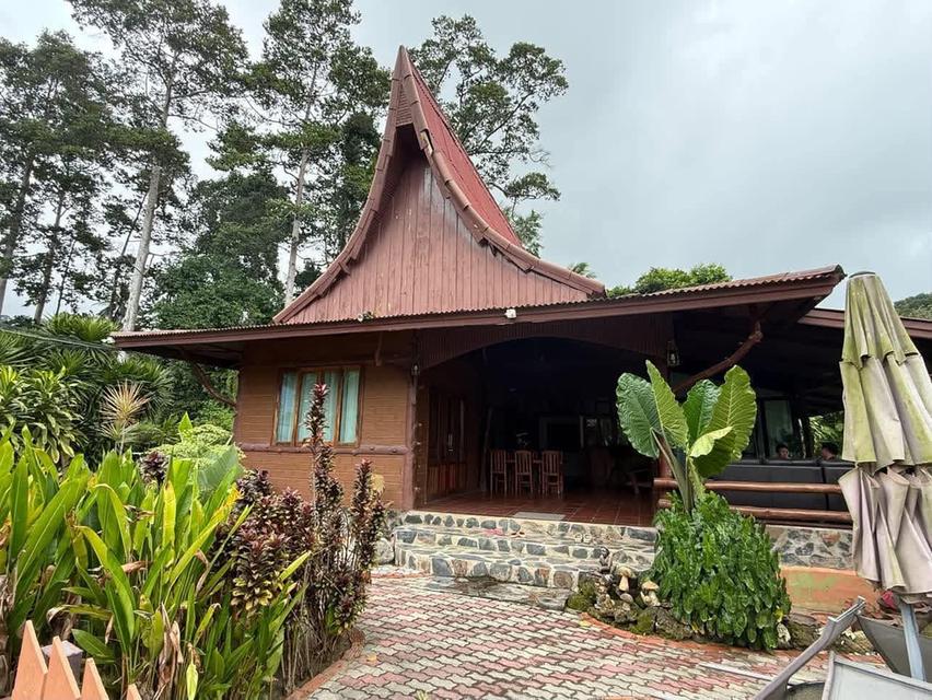 ขายต่อรีสรอทติดทะเลเกาะพงันซื้อปุ๊บรับรายได้ทันทีเพราะมีลูกค้าพักอยู่ตลอดมูลค่าทรัพสินเกือบ20ล้านขายด่วนเะยง16.5ล้าน รูปย่อยที่ 5