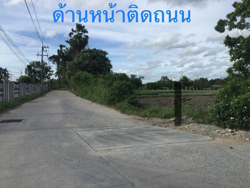 ขายที่ดินยกแปลง 10.9175 ไร่ เหมาะสำหรับทำบ้านพักตากอากาศ รีสอร์ท ร้านอาหาร บ้านช่องมะเฟือง ต.หนองรี อ.เมือง ชลบุรี 9