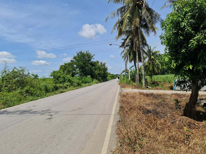 ที่ดินติดถนน ขายด่วน! 7 ไร่ 57 ตรว. อ.บ้านโป่ง ราชบุรี | เจ้าของขายเอง  1