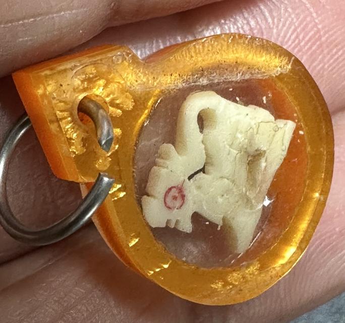 สิงห์สาริกา ล.พ.มุ่ย วัดดอนไร่ รูปที่ 4