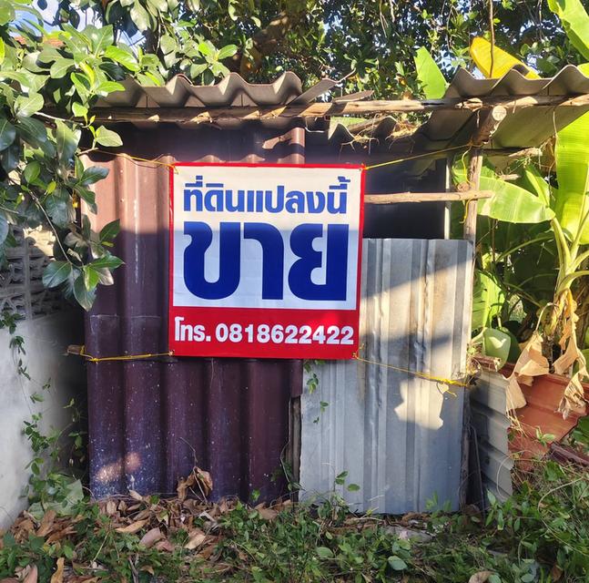 ขายที่ดินพร้อมสอบเขตก่อนโอน 2 แปลง แปลงละ 100 ตร.วา ราคา * ตร.วาละ 25,000 บาท อ.เมือง จ.ระยอง 1