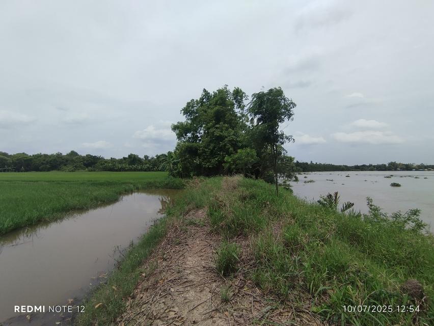 ที่ดินริมน้ำบางปะกง 30 ไร่เศษ ติดถนนใหญ่ + ติดแม่น้ำ วิวสวย ศักยภาพสูง เหมาะลงทุนรีสอร์ท พูลวิลล่า หรือโครงการท่องเที่ยวครบวงจร 8