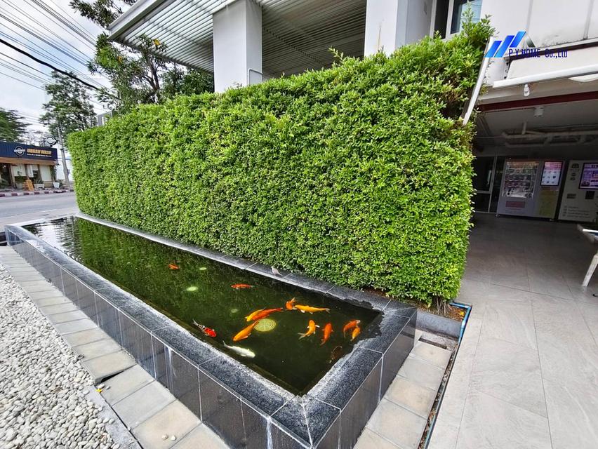 ขายคอนโด ยู เกษตร-นวมินทร์ ไตล์ Modern Luxury Room 9