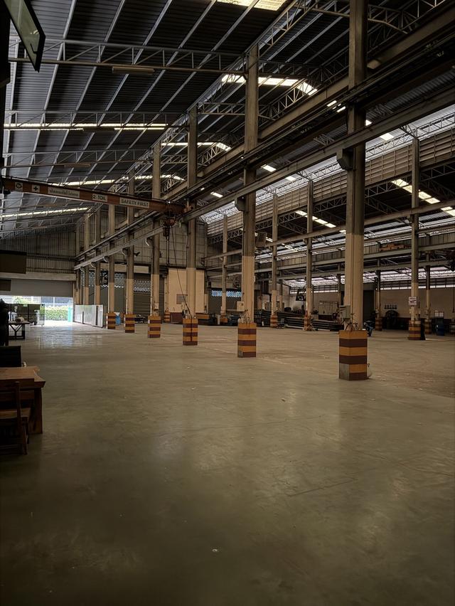 ขายที่ดินพร้อมโรงงานซอยจงศิริทำเลติดถนนใหญ่ ตำหรุ-บางพลี 5