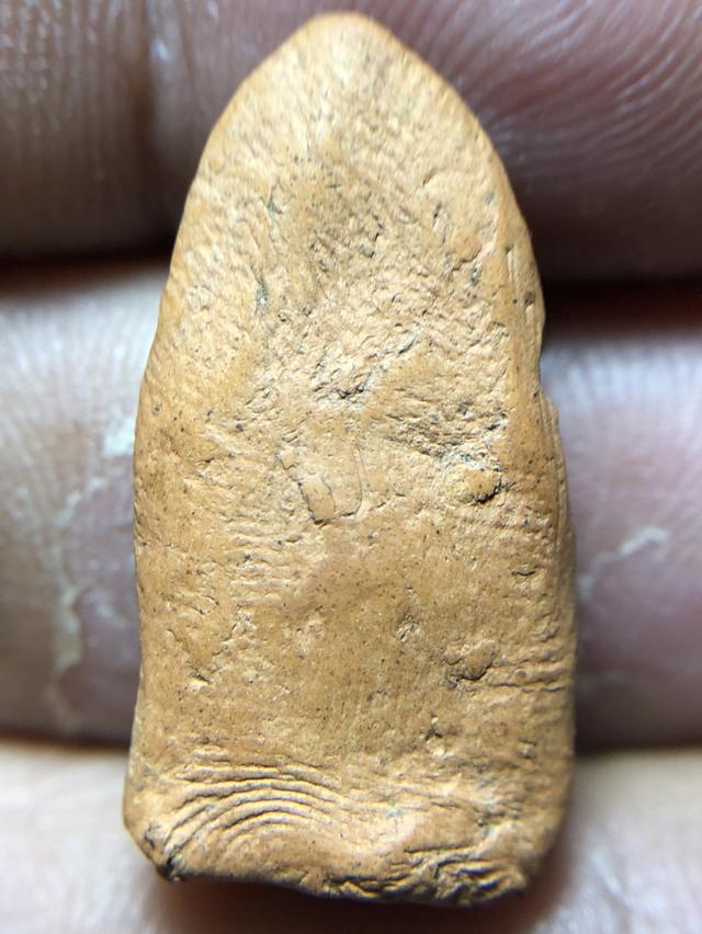 พระรอดกรุวัดมหาวันพิมพ์ใหญ่จังหวัดลำพูน รูปย่อยที่ 2