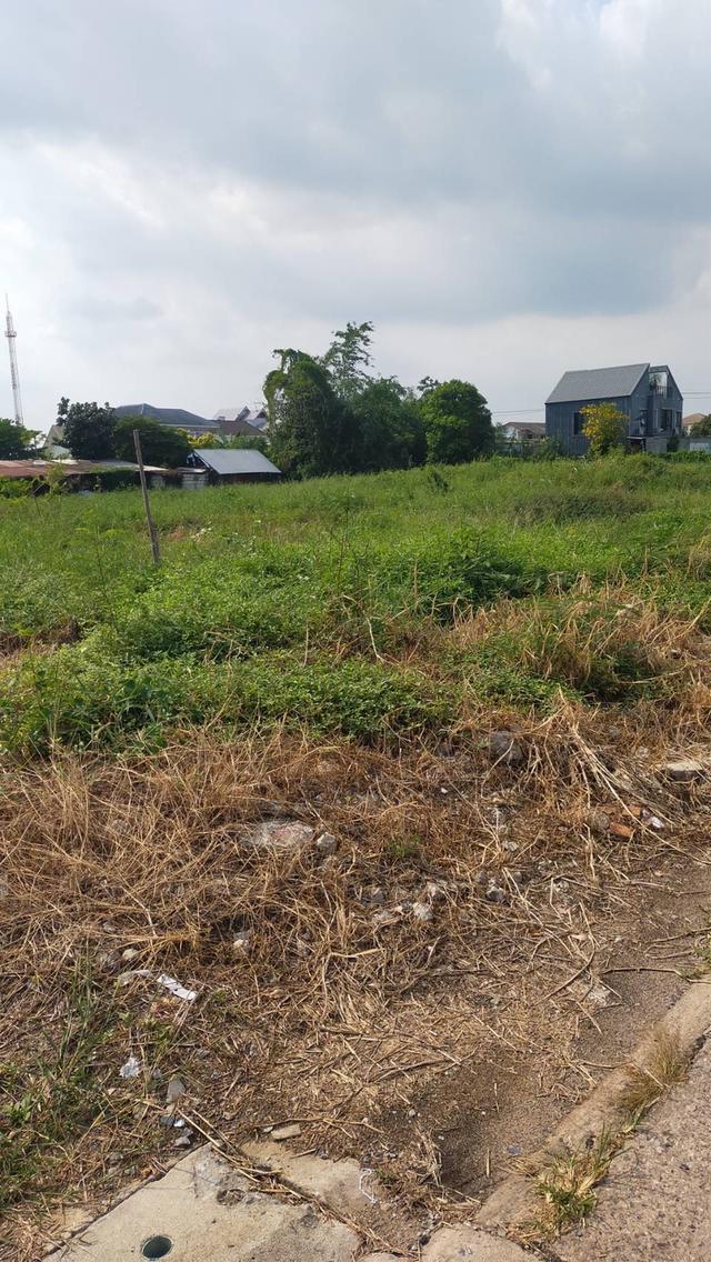 ที่ดินเปล่าถมแล้ว ติดถนน 4