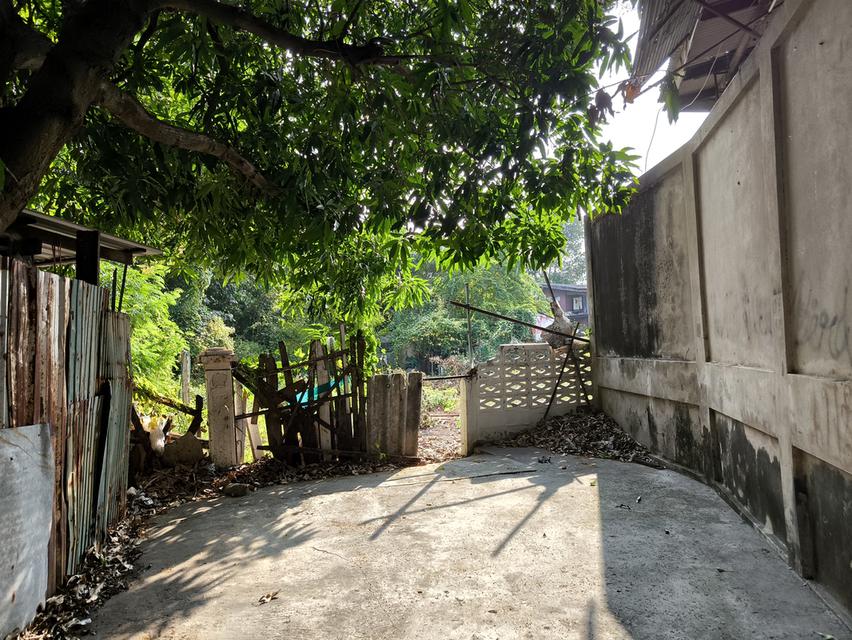 ที่ดินติดรถไฟฟ้าศรีนครินทร์สายสีเขียว 4