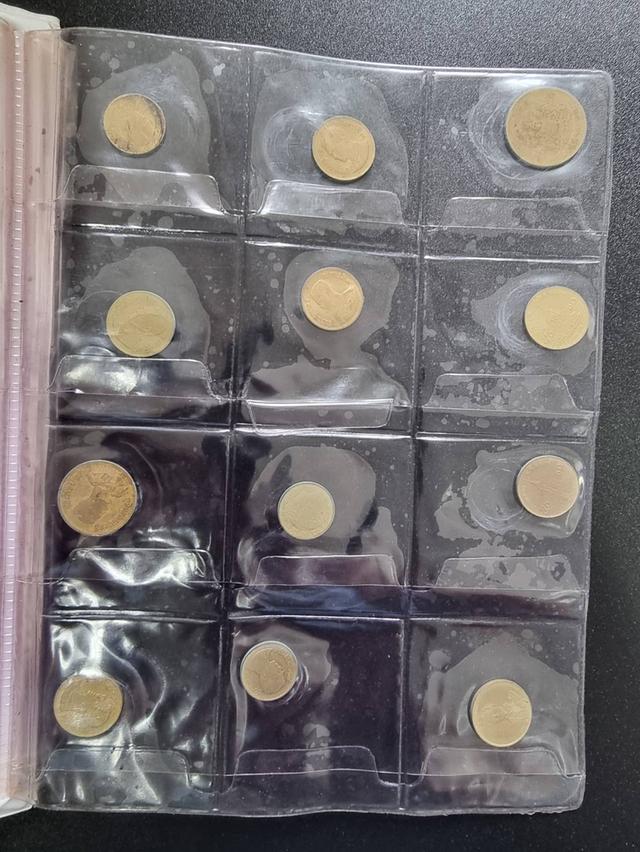 Coin Collection  15