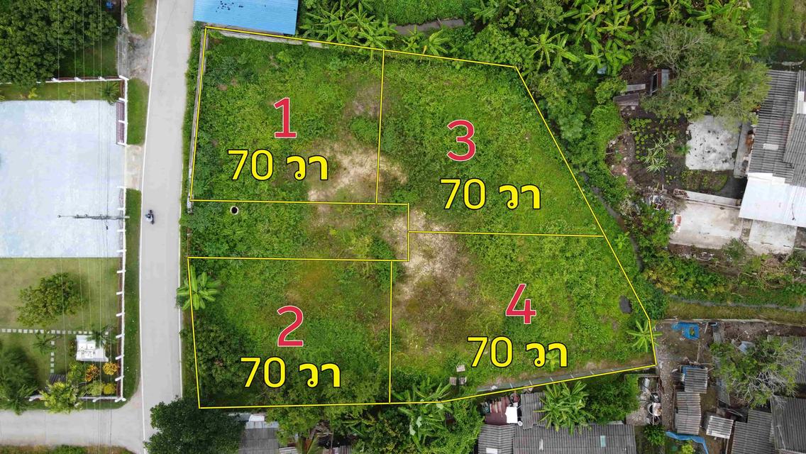 ขายที่ดิน 70 ตร.ว. จำนวน 4 แปลง (ถมแล้ว ไฟฟ้าและประปาพร้อม) 2