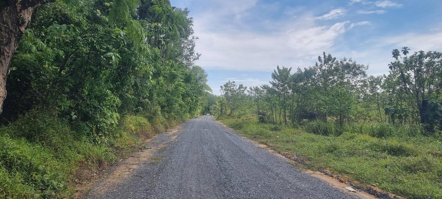 ขายที่ดินบ้านพารา, ป่าคลอก ภูเก็ต ตรงข้ามสนามกอล์ฟ มิชชั่นฮิลล์ ภูเก็ต เนื้อที่ 27-0-93 ไร่ ราคาขาย ไร่ละ 5,500,000 บาท /ไร่ เ 3