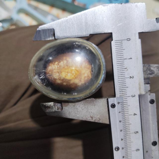 เครื่องรางของขลัง เบี้ยแก้ รูปที่ 2