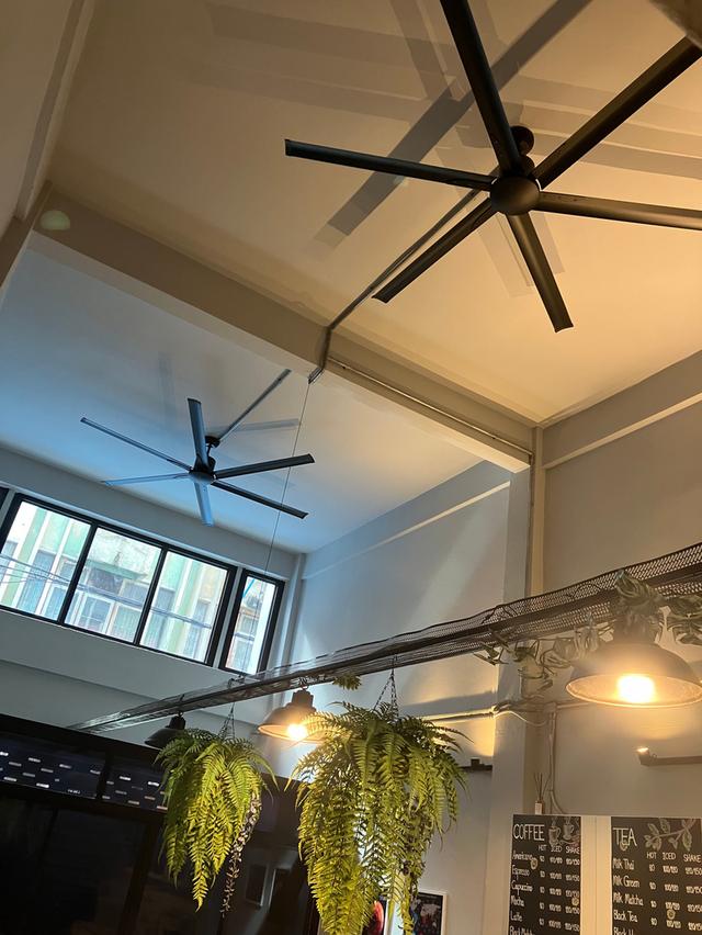 ให้เช่าอาคารพาณิชย์ เกษตร-เสนา 7