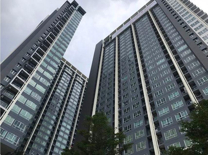 🔥ปล่อยเช่าด่วน🔥 ✨The Prodigy Condo MRT Bangkhae ตึก A ชั้น 29 ห้องขนาด 31 ตรม.✨ 1