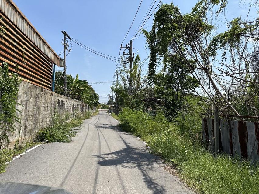 ขายที่ดิน 1 ไร่ 3 งาน ถมแล้ว ที่สวย บรรยากาศดี ร่มรื่น เงียบสงบ  ปลอดภัย ใกล้แหล่งท่องเที่ยว 11