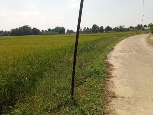 ขายที่ดิน อำเภอหนองมะโมง จังหวัดชัยนาท ห่างถนนใหญ่ 200 เมตร 7