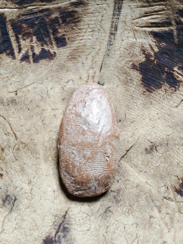 พระเครื่องหลายรุุ่นหลายราคา รูปย่อยที่ 2