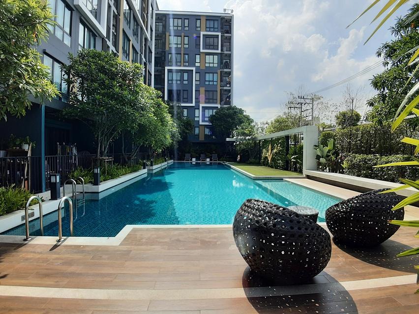 Condo