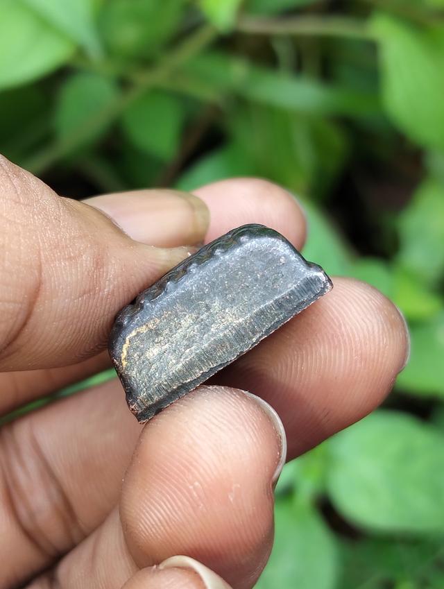 เปิด หลวงปู่ทวด แจกปีนัง ปี 2507 บล็อกหูขีด สภาพสวยๆเลยครับ.450.- รวมส่งครับ 🚚