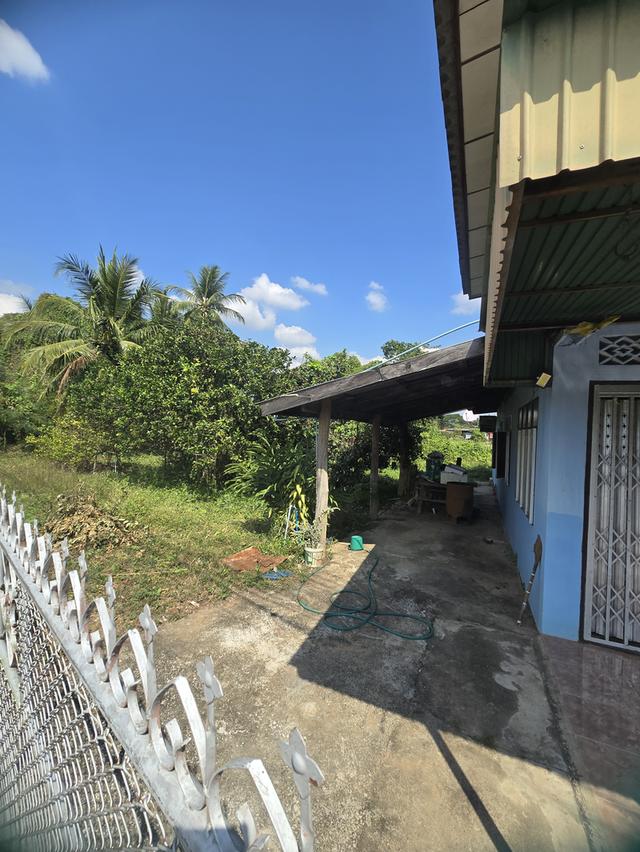 ขายบ้านไม้สัก2ชั้นพร้อมที่ดิน 1 ไร่ 38ตรว. บ้านต้นธงชัย ต.แม่ปุ อ.แม่พริก จ.ลำปาง 3