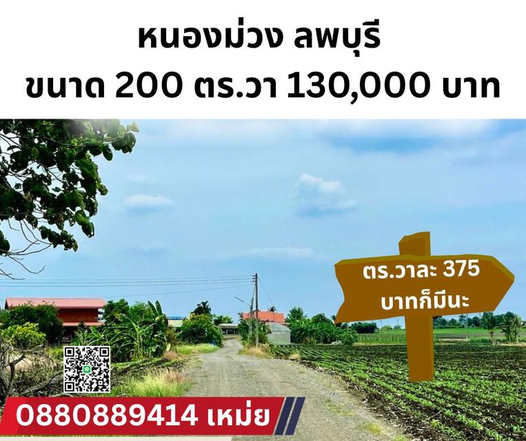 ที่ดิน หนองม่วง ลพบุรี ตรวาละ 375 บาท