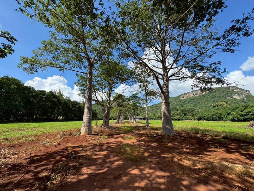 ขาย ที่ดินเปล่า เขาใหญ่ ถ.ธนะรัชต์ เหมาะสร้าง รีสอร์ท โรงแรม คอนโด สถานที่ท่องเที่ยว  32-1-96 ไร่ 5