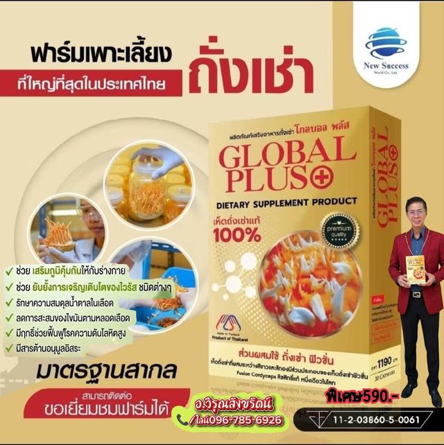 เห็ดถั่งเช่าแท้โกลบอลพลัส รูปที่ 4