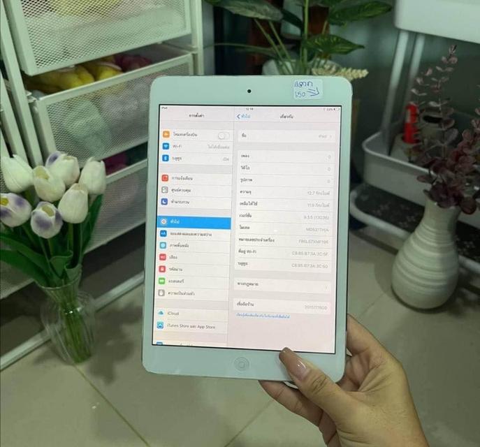 iPad Mini1 2