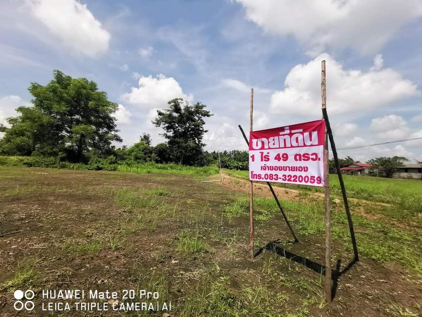 ขายที่ดิน วิวภูเขา สันทราย เชียงใหม่  1