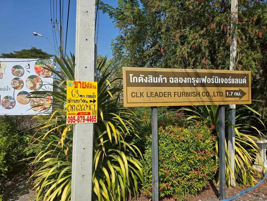 ขายด่วนที่ดิน 63 ตรว ติดถนนสาธารณะ ประชาสำราญ1 แขวงคลองสิบสอง เขตหนองจอก กทม. 10