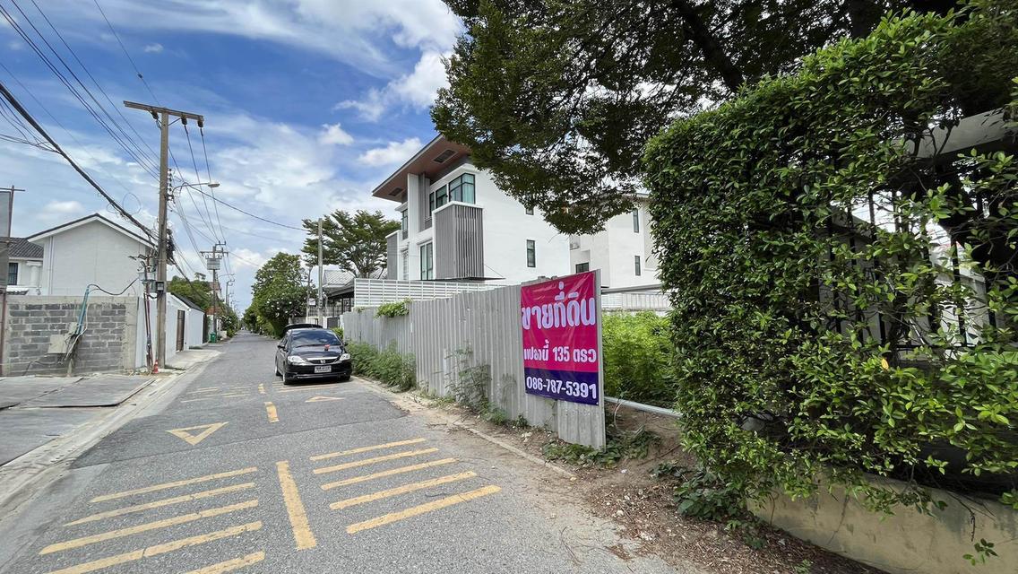 ขายที่ดิน 135 ตรว ลาดพร้าว71 ที่ดินสวยติดถนน2ด้านถมแล้ว ทำเลดี 1