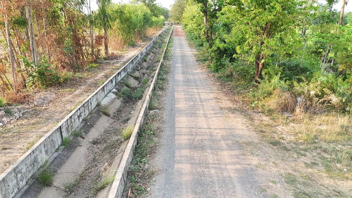 🔥🔥🔥 ด่วนที่สุด! ราคานี้มีแปลงเดียว 🔥🔥🔥 🌾 ขายที่นา-ที่สวน ทำเลดี ใกล้เทศบาลบ้านตาด 📍 ต.บ้านตาด อ.เมือง จ.อุดรธานี 📐 เนื้อที่ 3 ไร่ 2 งาน 77 ตร 7