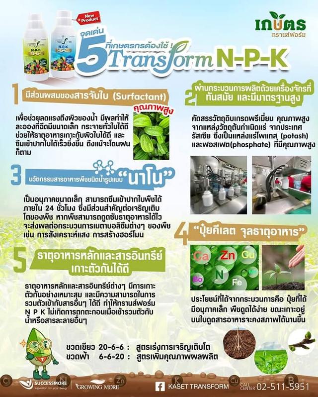 ปุ๋ย transform n p k สูตร 6 6 20 รูปย่อยที่ 3