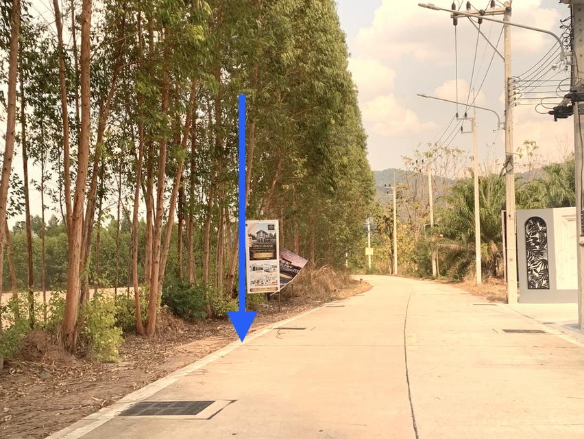 ขายที่ดินใกล้ถนนข้าวหลาม แบ่งขาย 6ไร่ ติดทาง 2ด้าน ตรงข้ามโรงเรียนสารสาสน์วิเทศบูรพา ที่ดินเข้า-ออกได้หลายทาง 1