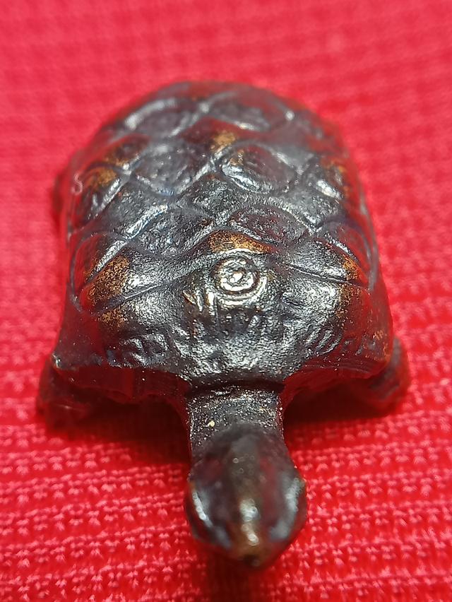 เต่าหลวงพ่อทรัพย์วัดตลุก